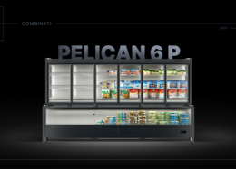 Pelican 6P (1)